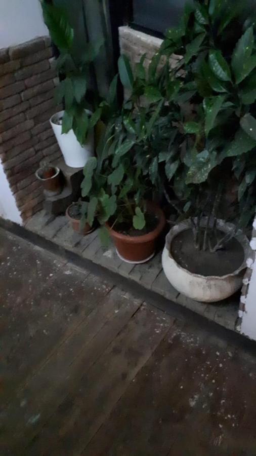 דירות טביליסי Aquarium מראה חיצוני תמונה